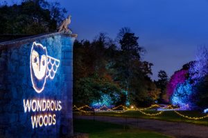 Wondrous Woods winter light trail illuminations in Edinburgh - Hopetoun House