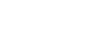 Nexo Audio Logo transparent png